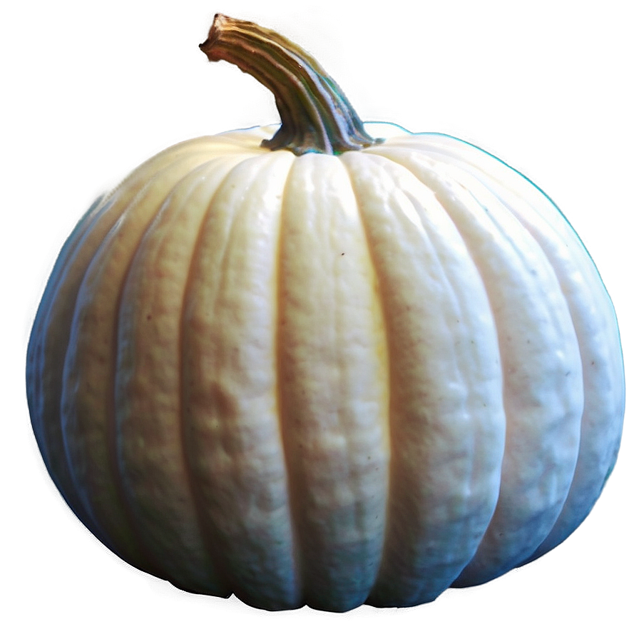 White Pumpkin Farm Png 06212024 PNG Image