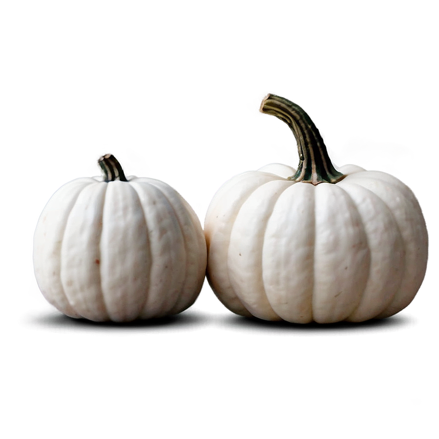 White Pumpkin For Fall Png Jwr7 PNG Image