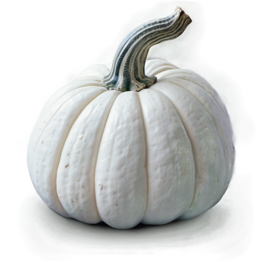 White Pumpkin For Halloween Png Cer33 PNG Image