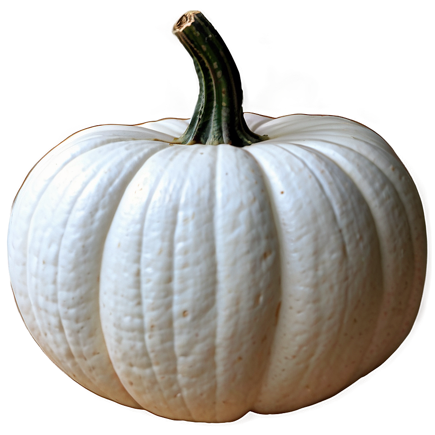 White Pumpkin Outline Png Sne41 PNG Image