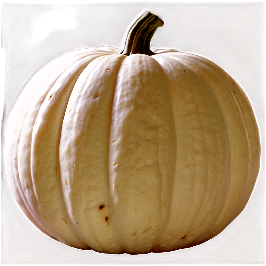 White Pumpkin Png 06212024 PNG Image