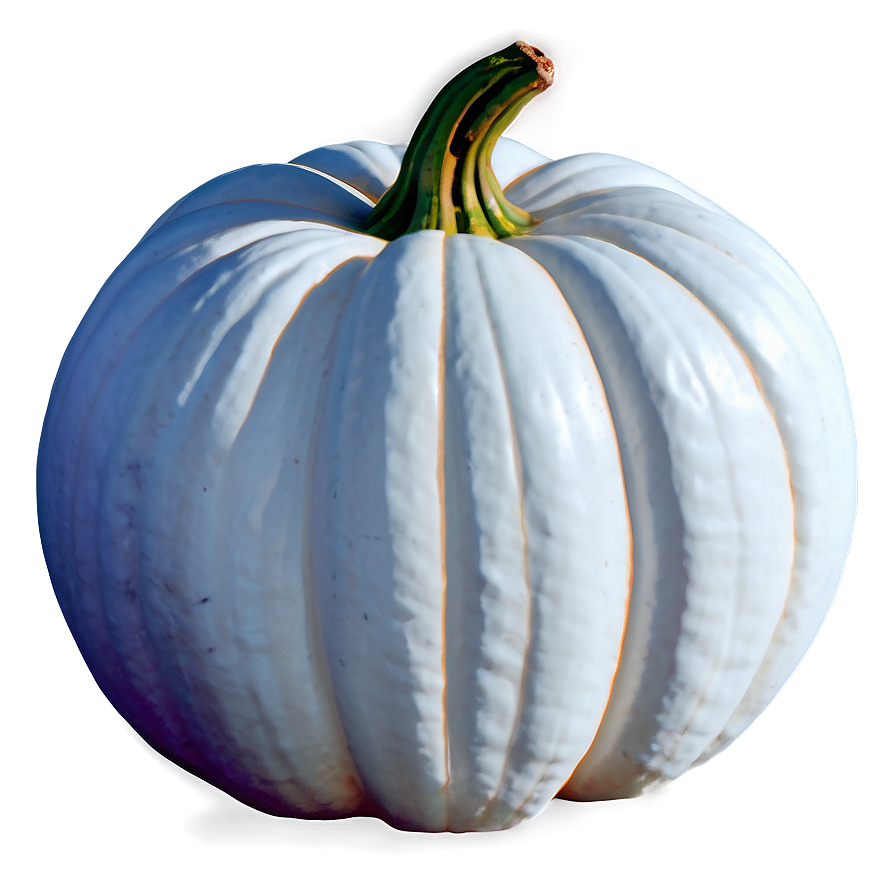 White Pumpkin Printable Png Qjk PNG Image