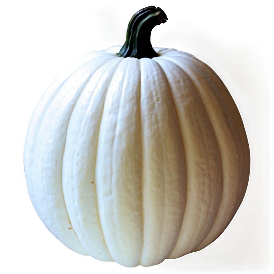 White Pumpkin Silhouette Png 4 PNG Image