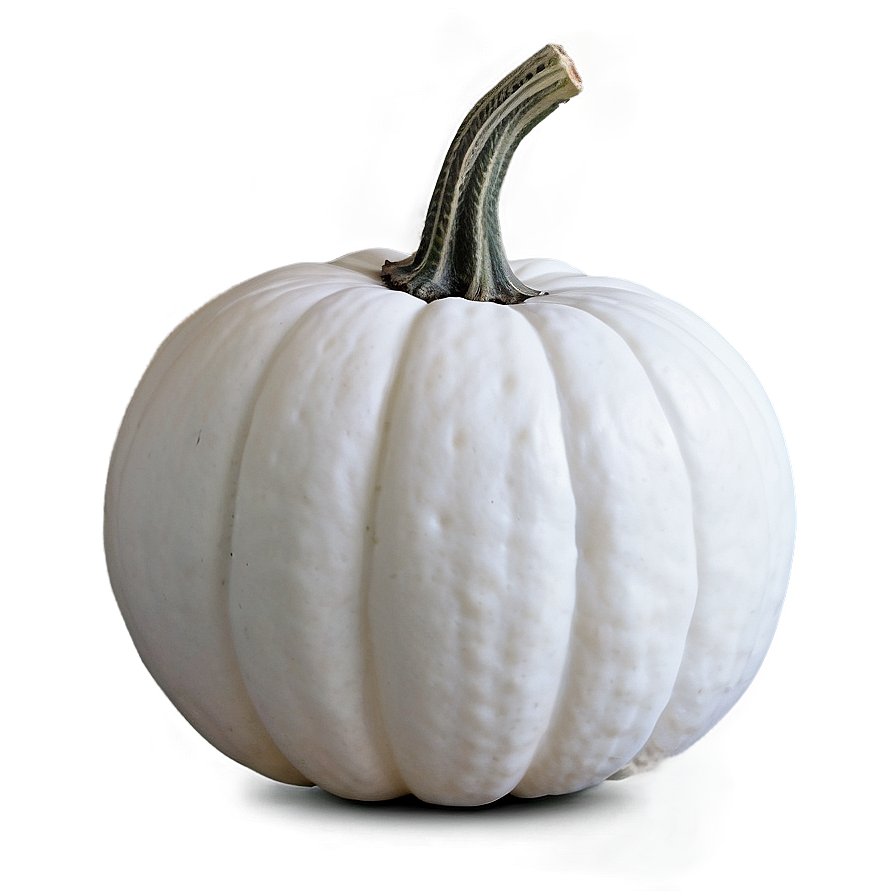 White Pumpkin Template Png 20 PNG Image