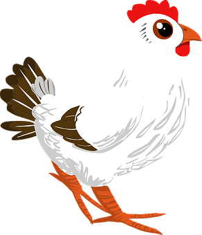 White Rooster Cartoon Illustration PNG Image