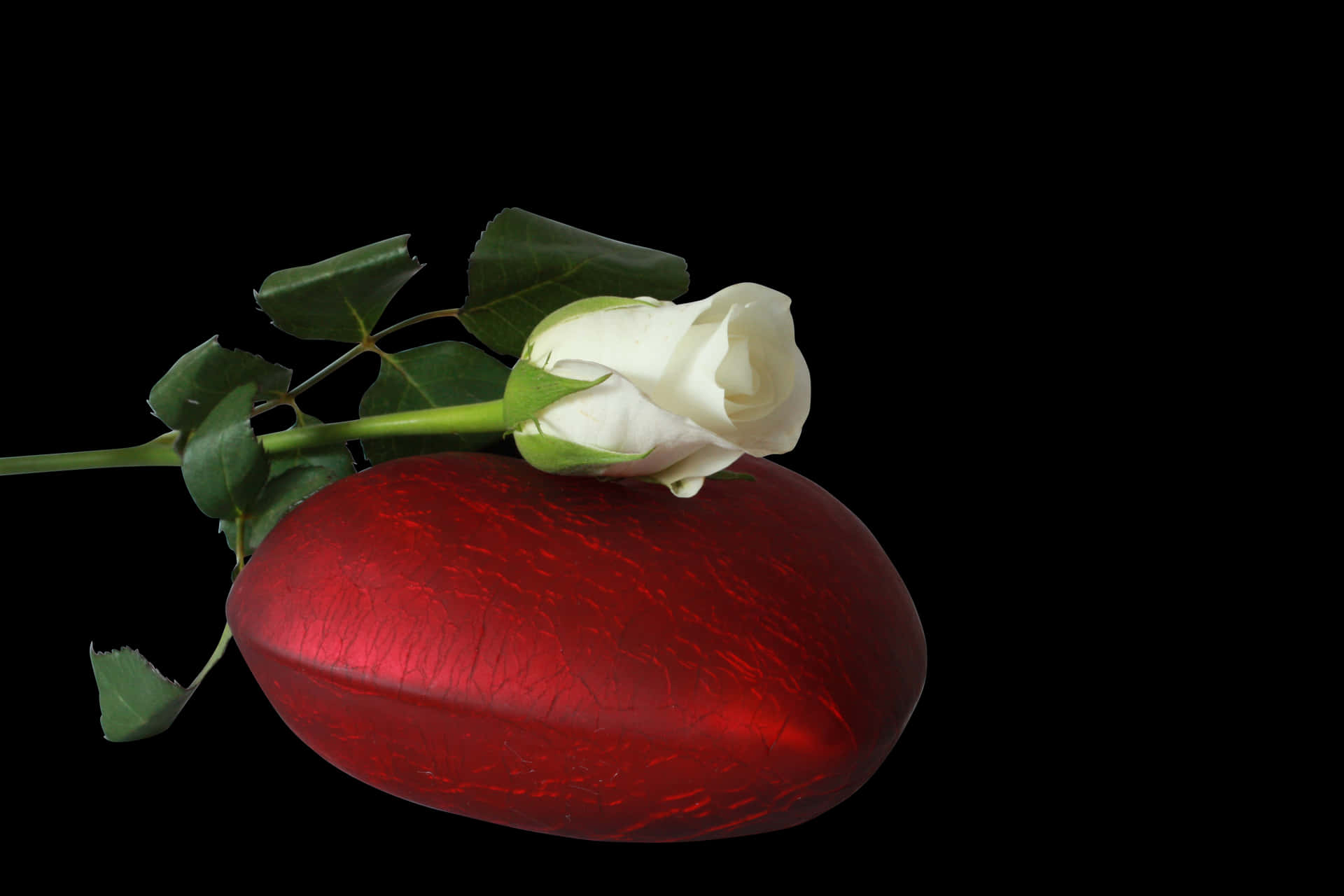 White Roseon Red Heart Stone PNG Image