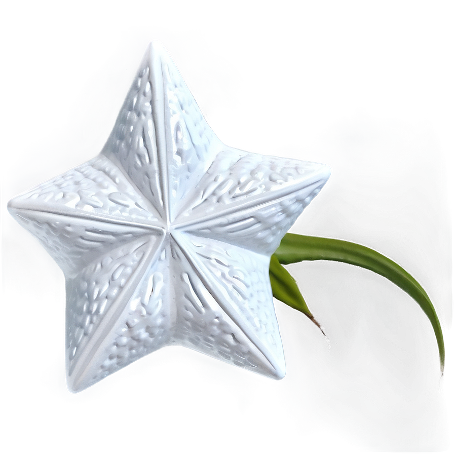 White Star For Textures Png 05042024 PNG Image