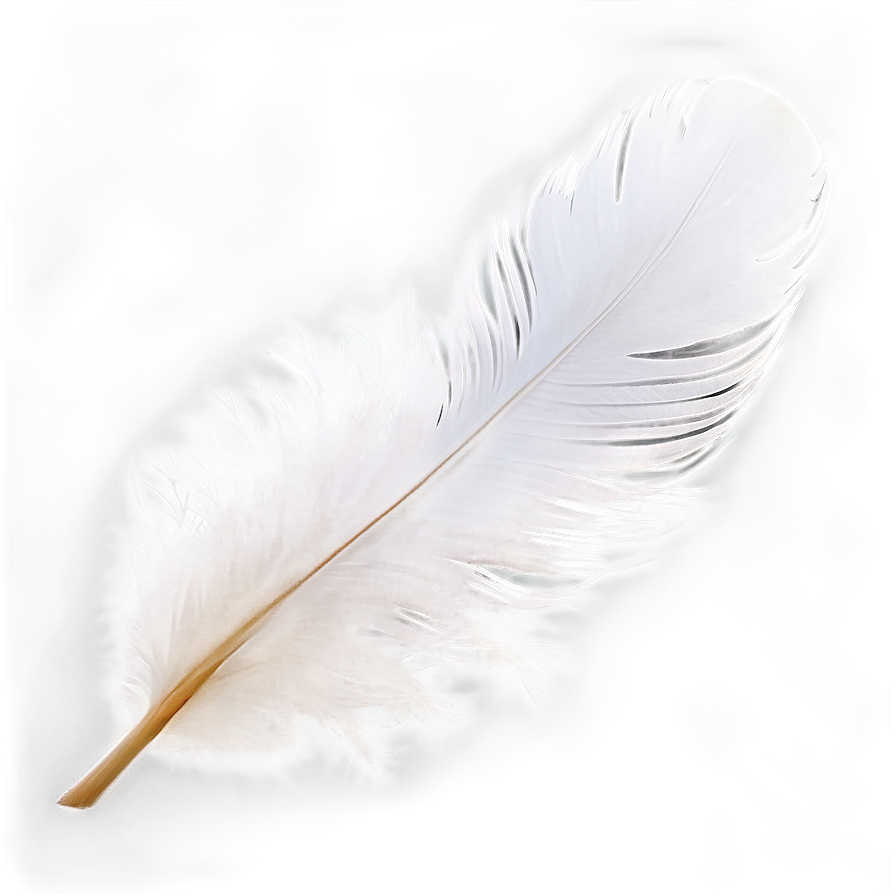 White Swan Feather Png Tlv PNG Image