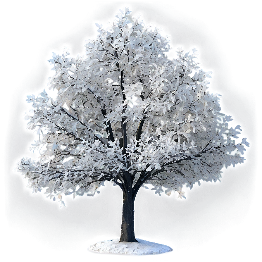 White Tree B PNG Image