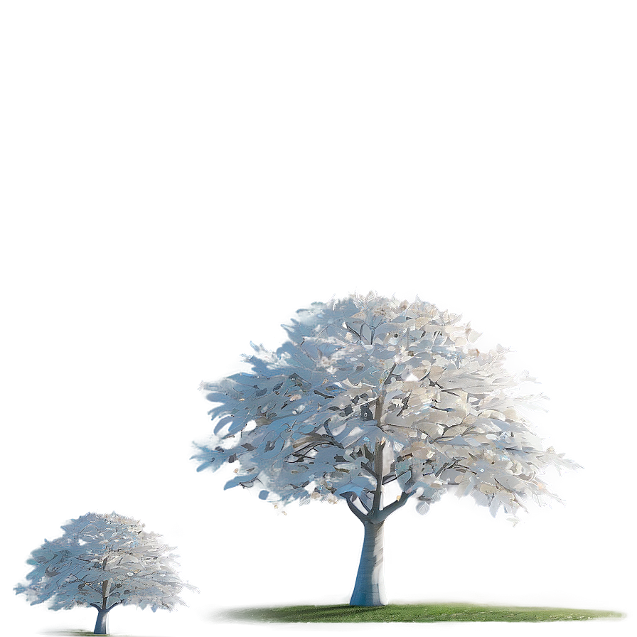 White Tree In Sunlight Glow Png Itn PNG Image