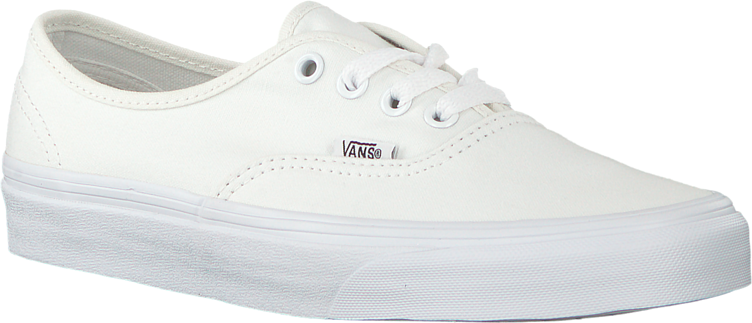 White Vans Authentic Sneaker PNG Image