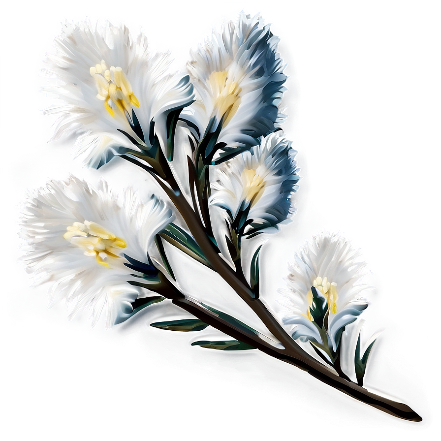 White Winter Flowers Png Sii87 PNG Image