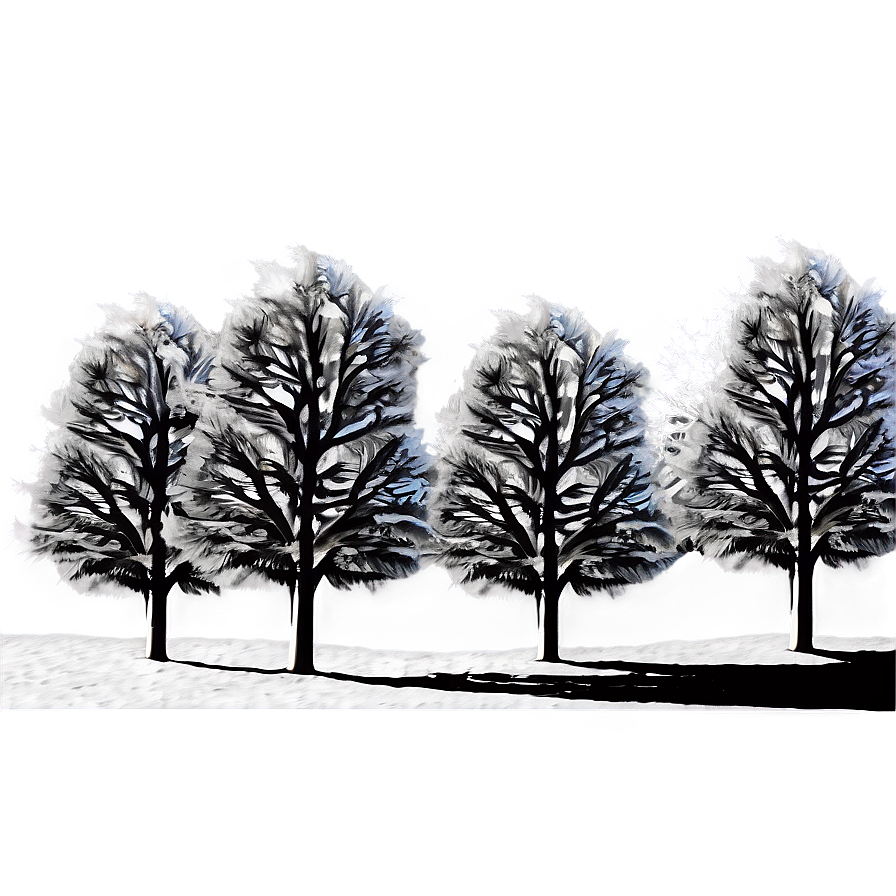 White Winter Trees Png Rpk PNG Image