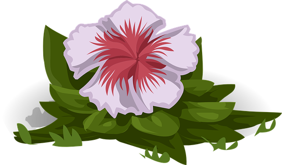 Whiteand Red Flower Illustration PNG Image