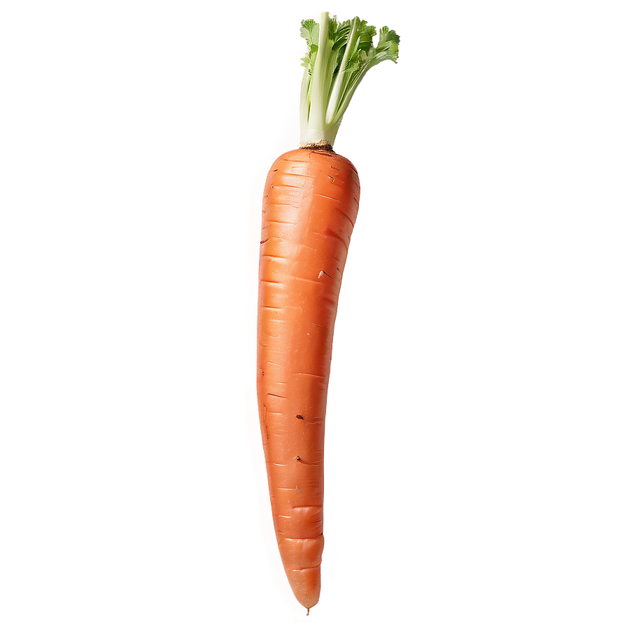 Whole Carrot Png 05242024 PNG Image