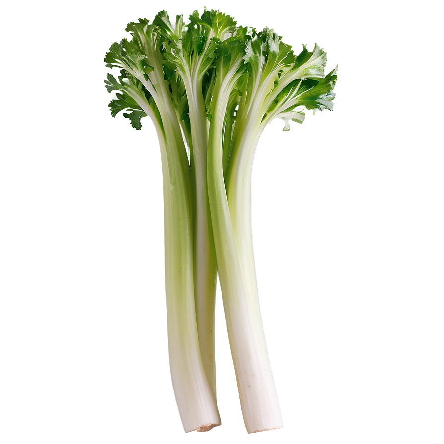 Whole Celery Bunch Png Wtq23 PNG Image