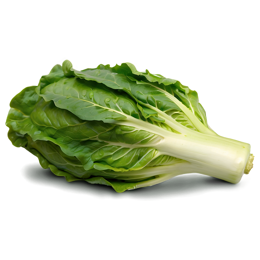 Whole Lettuce Head Png 77 PNG Image