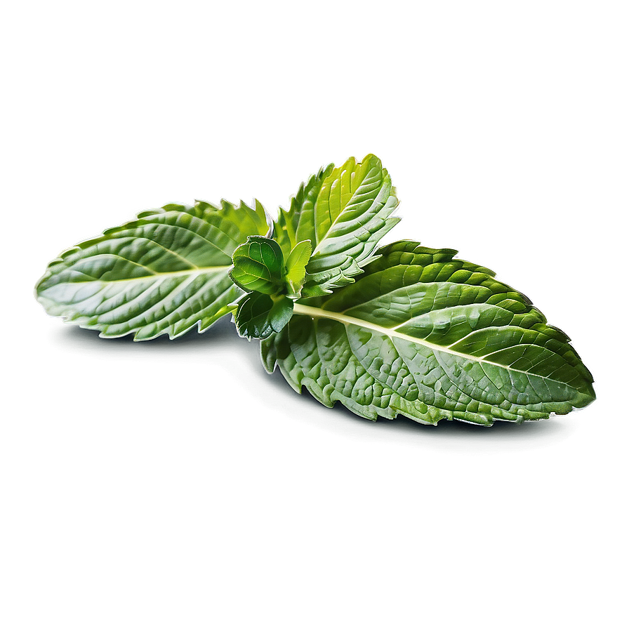 Whole Mint Leaves Png Fma42 PNG Image