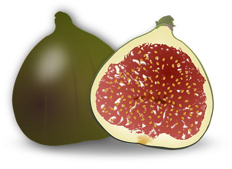 Wholeand Half Fig Illustration PNG Image