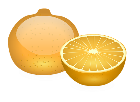 Wholeand Half Orange Illustration PNG Image