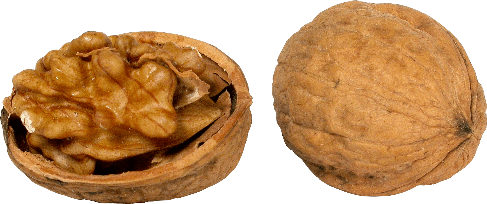 Wholeand Half Walnut PNG Image