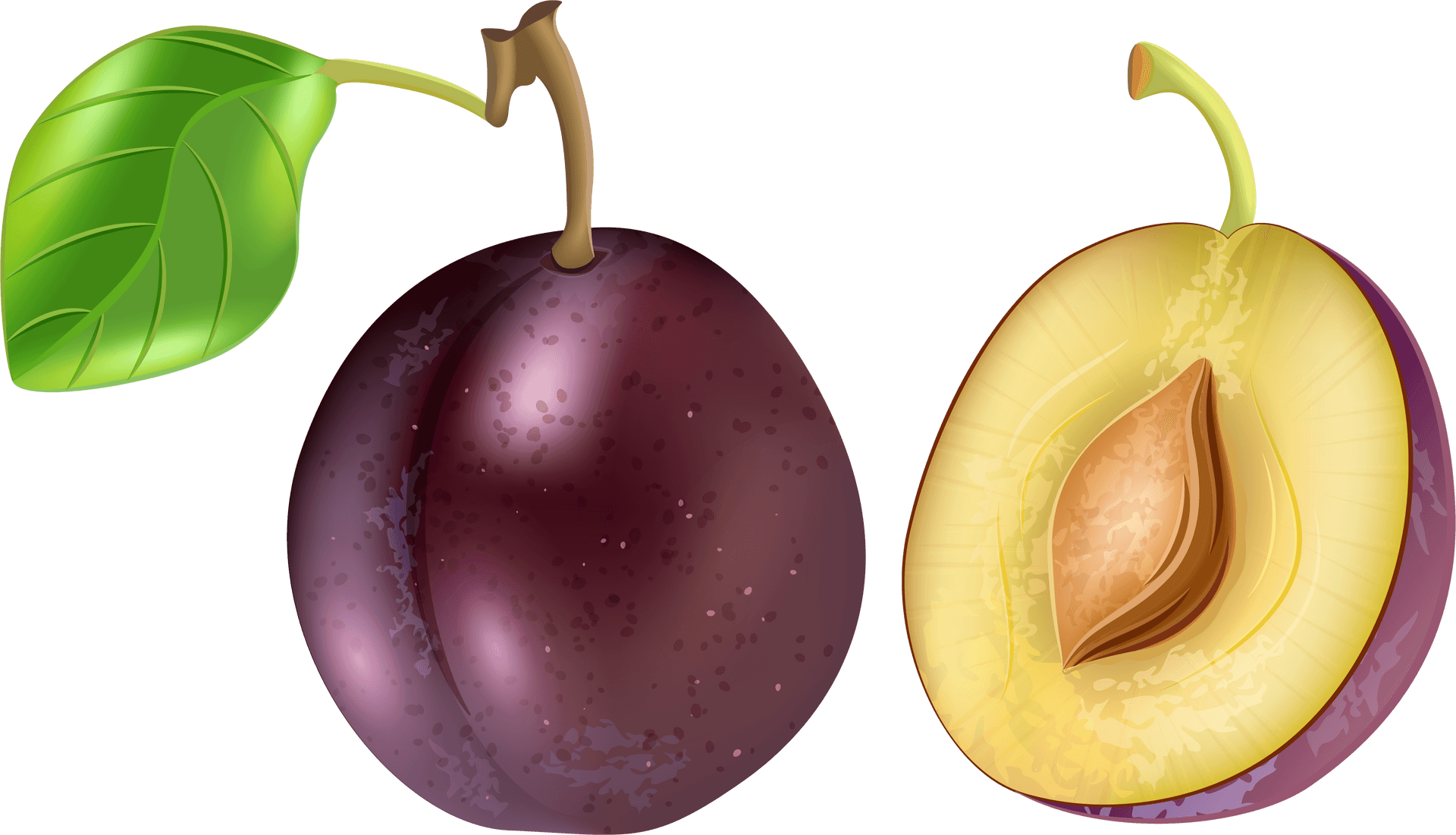 Wholeand Halved Plum Illustration PNG Image