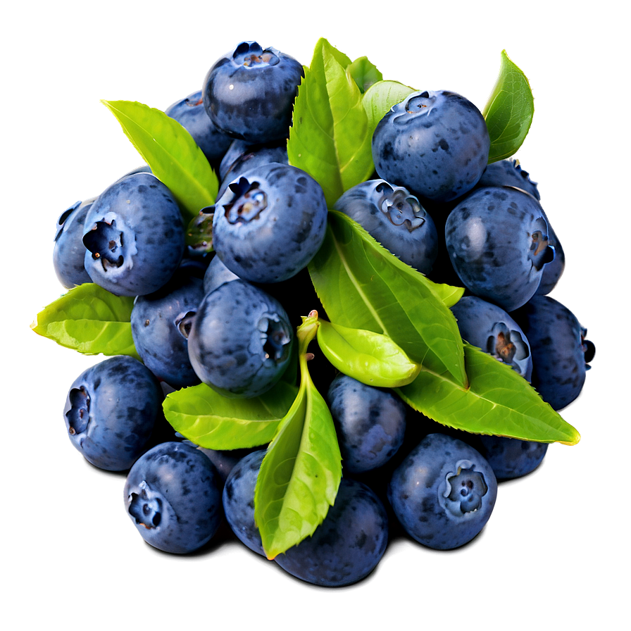 Wholesome Blueberry Handful Png 93 PNG Image