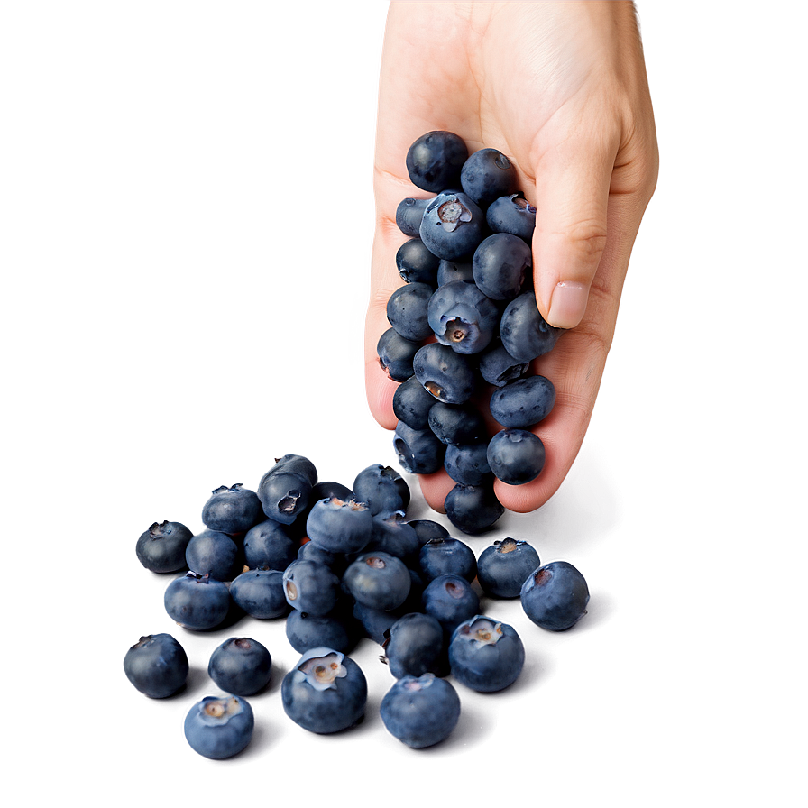 Wholesome Blueberry Handful Png Hoy PNG Image