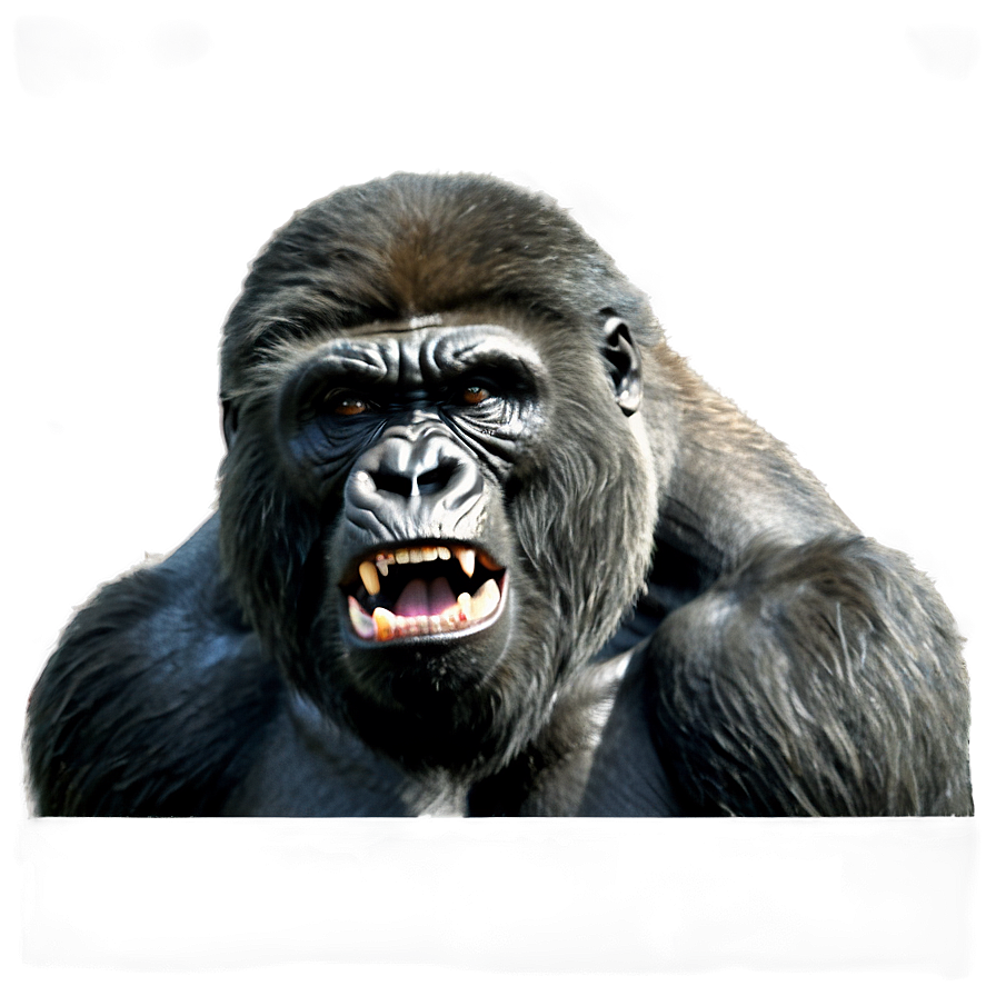 Wild Angry Gorilla Png Glb42 PNG Image