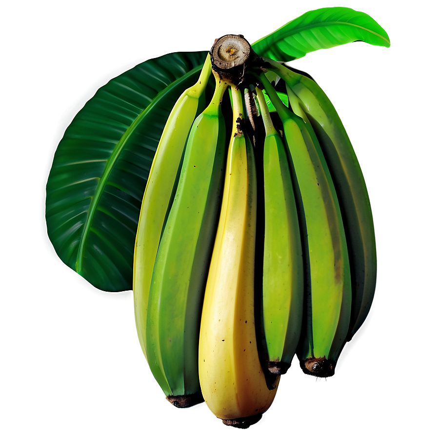 Wild Banana Jungle Png Tbw61 PNG Image