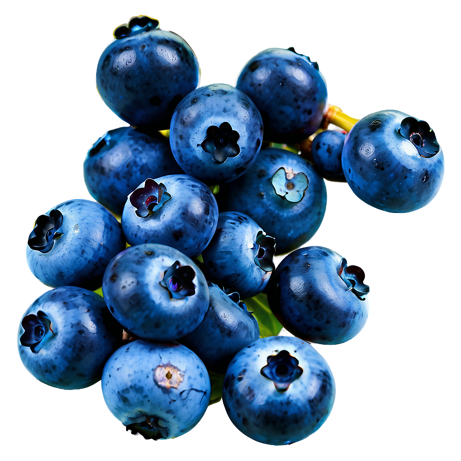 Wild Blueberry Bunch Png 05212024 PNG Image