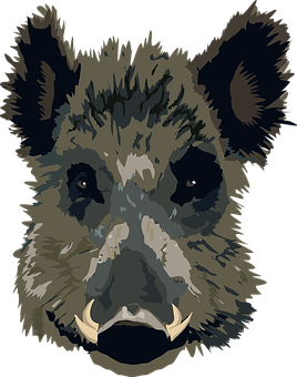 Wild_ Boar_ Vector_ Portrait PNG Image