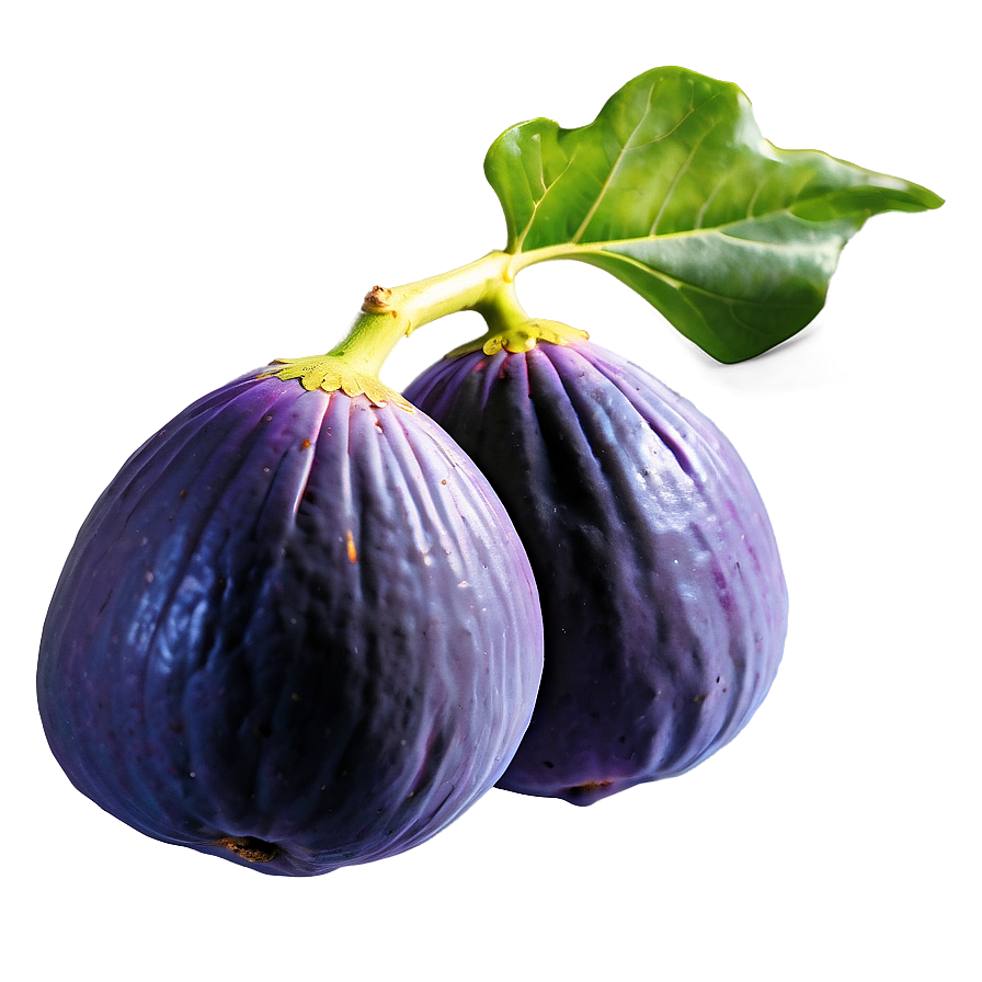 Wild Fig Picture Png Eng PNG Image