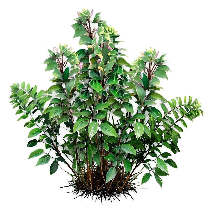 Wild Flower Bush Png Xsy PNG Image