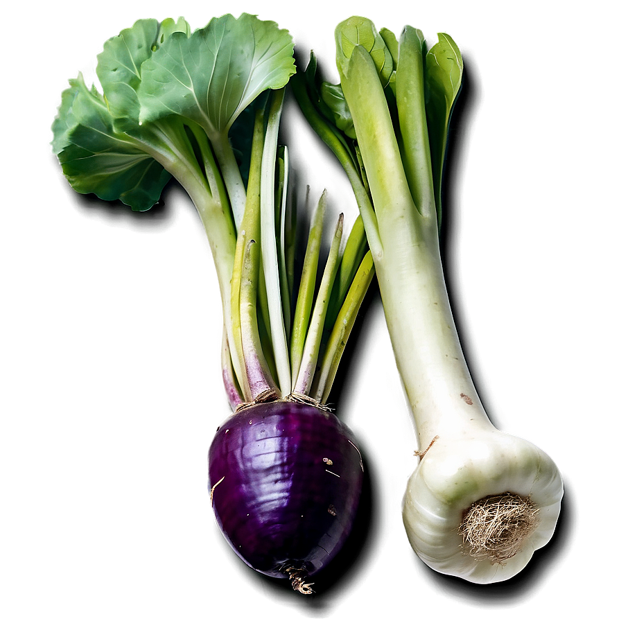 Wild Foraged Vegetables Png 47 PNG Image