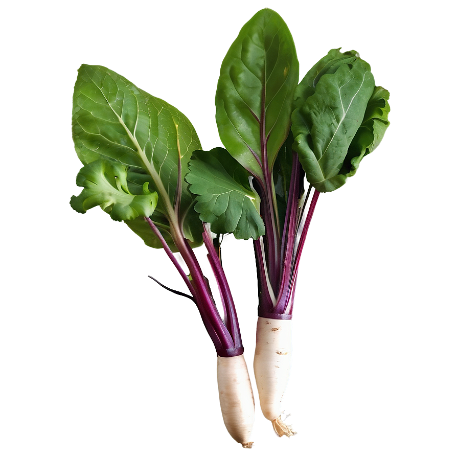 Wild Foraged Vegetables Png Chr PNG Image