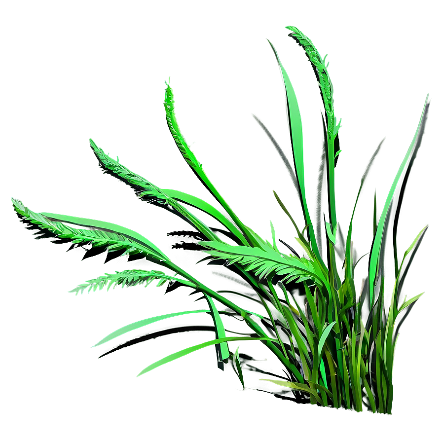 Wild Grass Detail Png 31 PNG Image