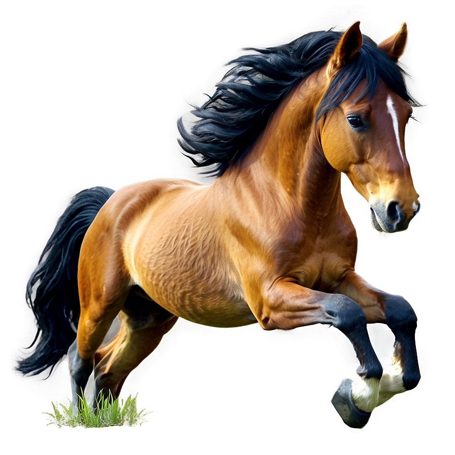 Wild Horse Png Lec90 PNG Image