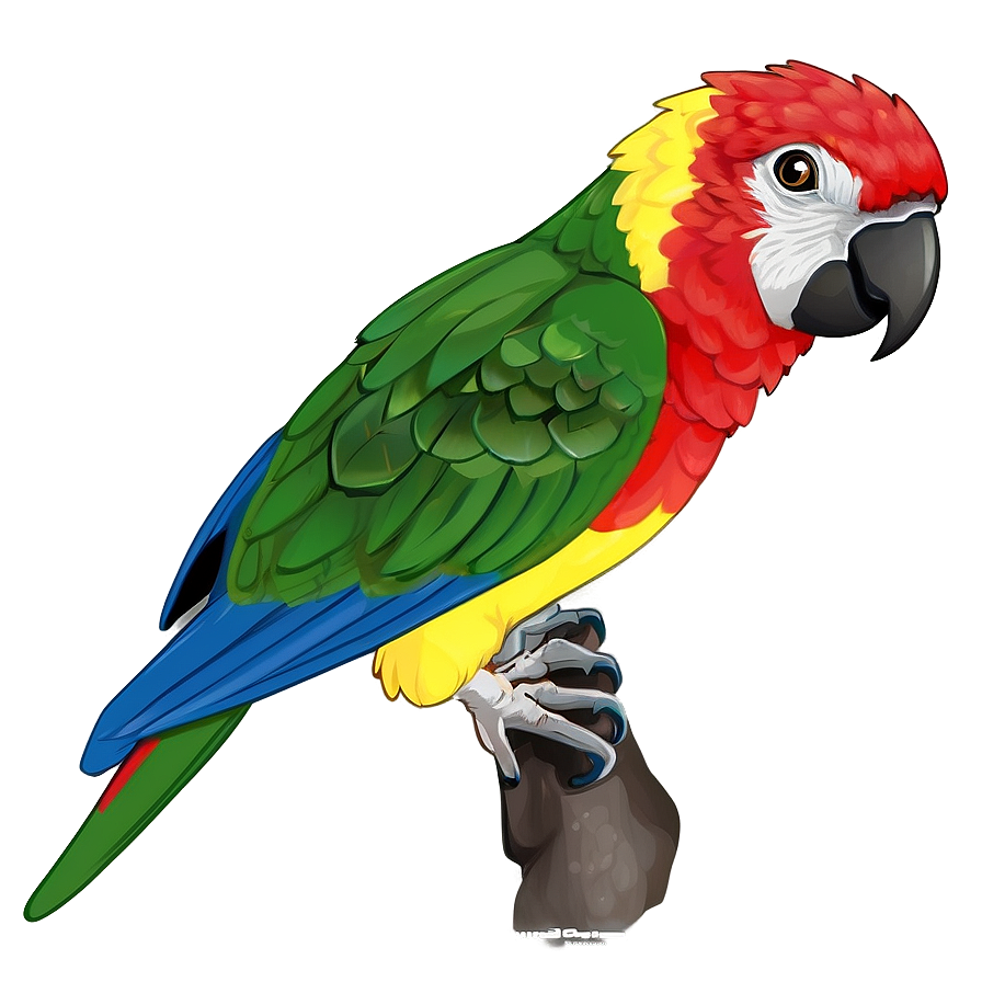 Wild Parrot Png 54 PNG Image