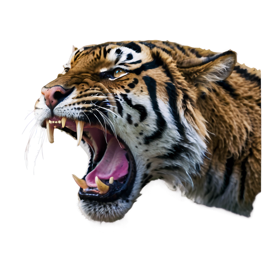 Wildcat Rage Tiger Png Dgb99 PNG Image