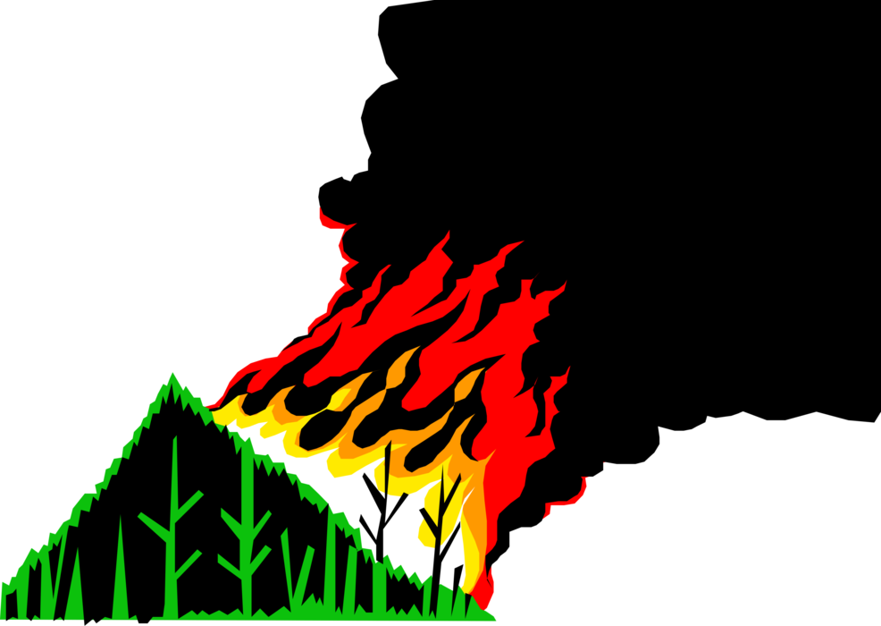 Wildfire Vector Illustration PNG Image