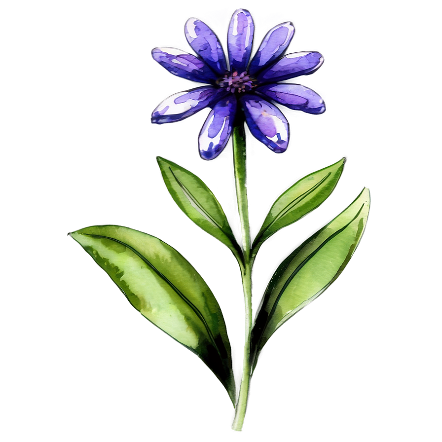 Wildflower Watercolor Sketch Png Hqa28 PNG Image