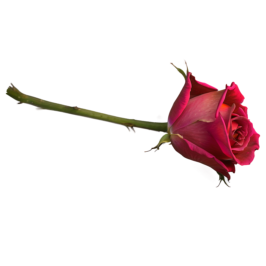 Wilted Rose Petals Png Beb PNG Image