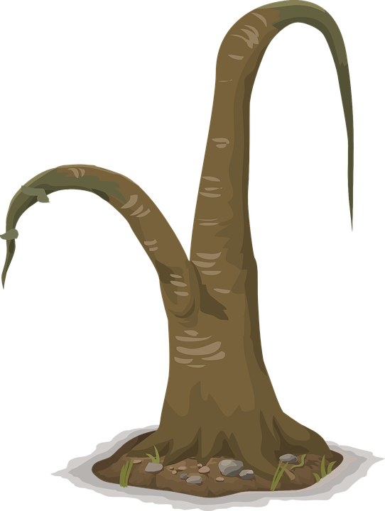 Wilted Tree Graphic PNG Image