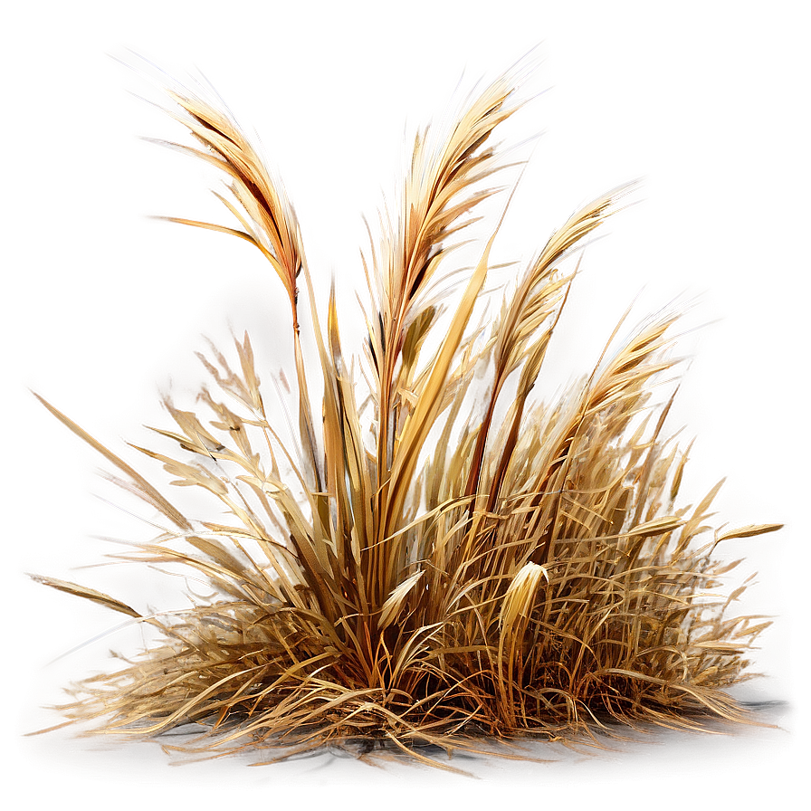 Windblown Dry Grass Png 06262024 PNG Image