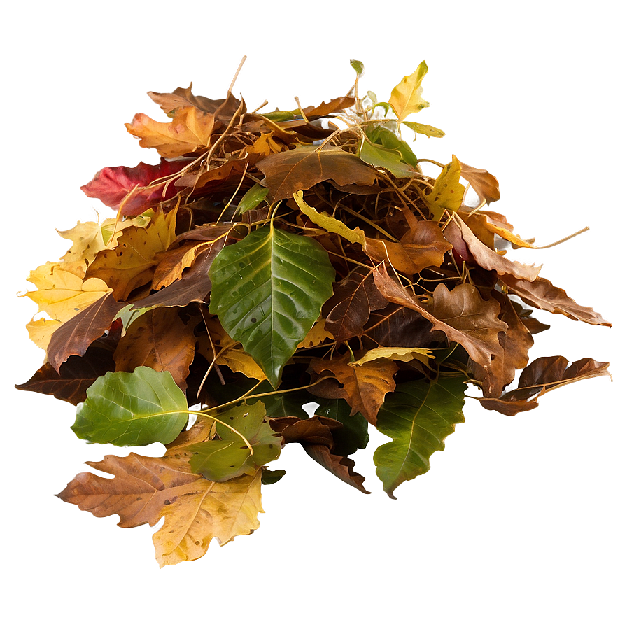 Windblown Leaves Heap Png Xju PNG Image