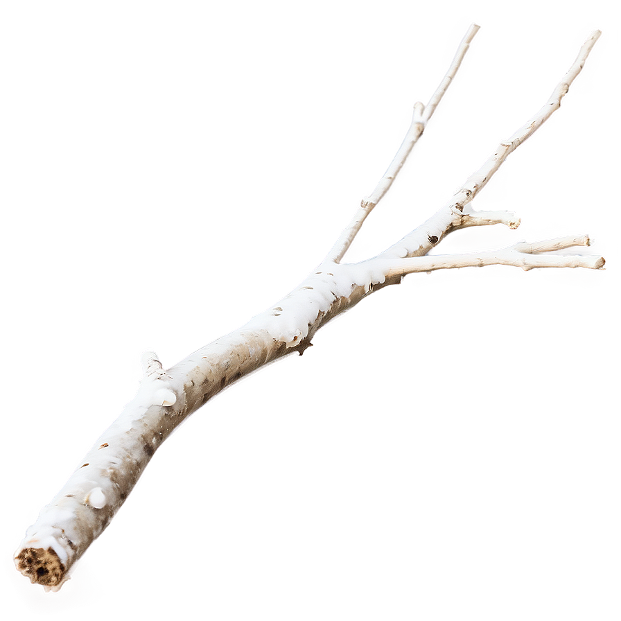 Windblown Twig Png 25 PNG Image