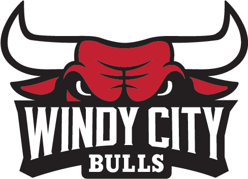 Windy City Bulls Logo PNG Image