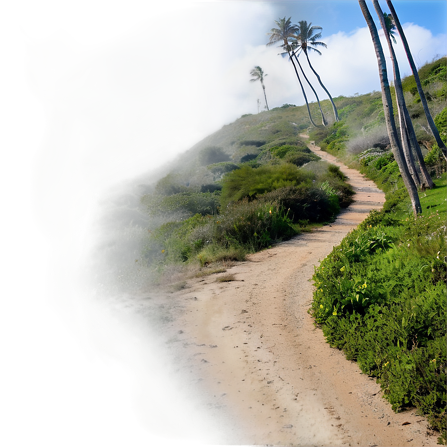 Windy Coastal Trail Png Lxw76 PNG Image