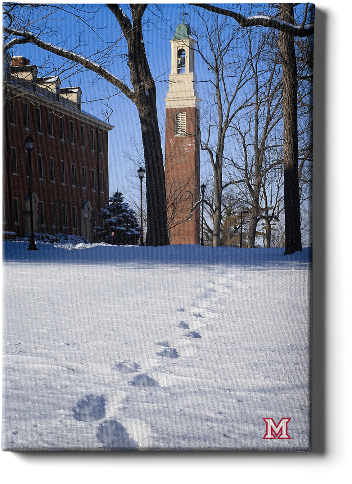 Winter_ Campus_ Snowy_ Footprints PNG Image